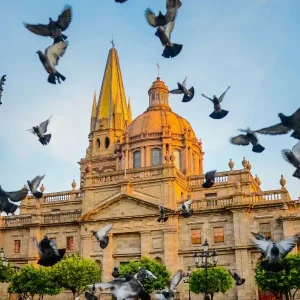 Cuidado de personas mayores en Guadalajara